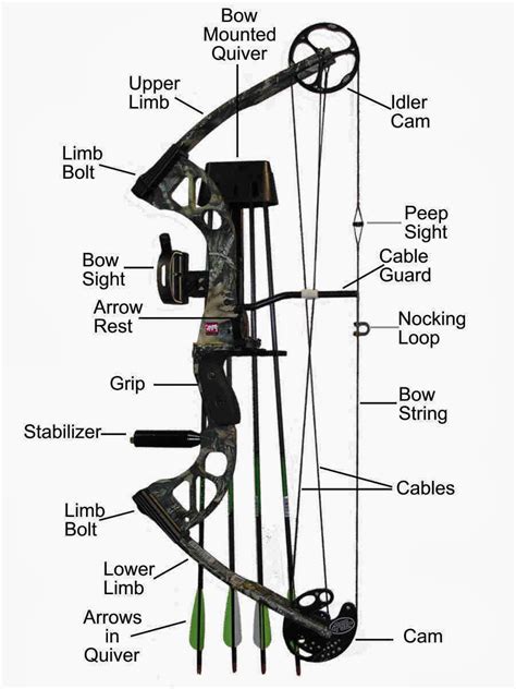 Compound Bow Parts Diagram