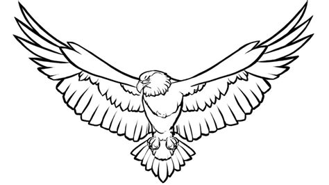 Eagle Landing Drawing Free Download On Clipartmag