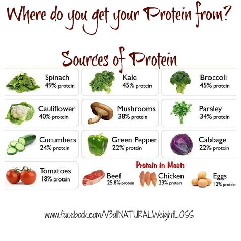 home ideazz sources of protein