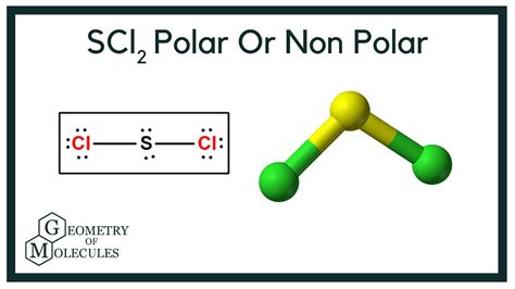 Is Scl2 Polar Or Non Polar Sulfur Dichloride Youtube
