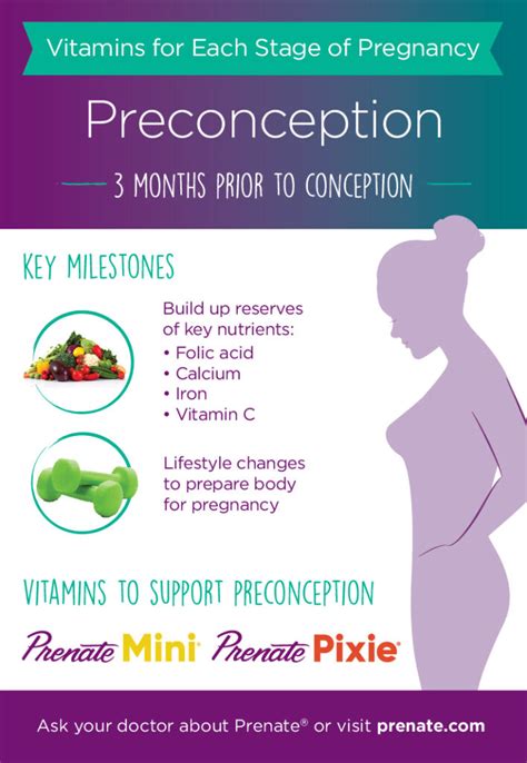 Prenatal Vitamins For Each Stage Of Pregnancy Preconception 3 Months