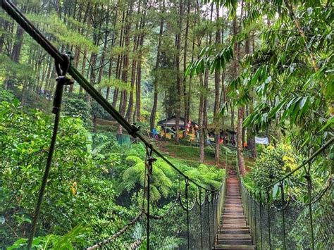 Kebun Raya Bogor Tiket Masuk Jam Buka Dan Zona Wisata