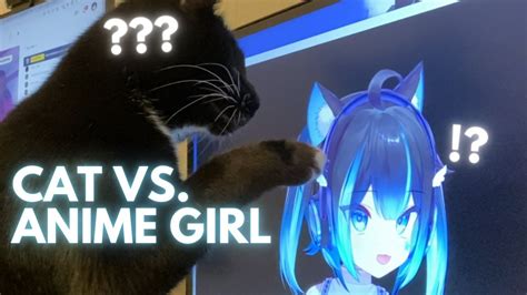 Discover 68 Cat Anime Opening Meme Latest Induhocakina