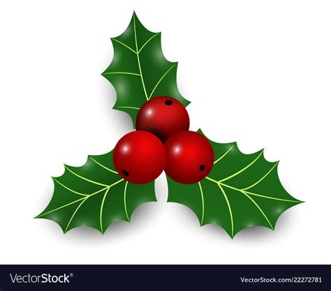 realistic hand drawn holly ilex branch with berry vector image