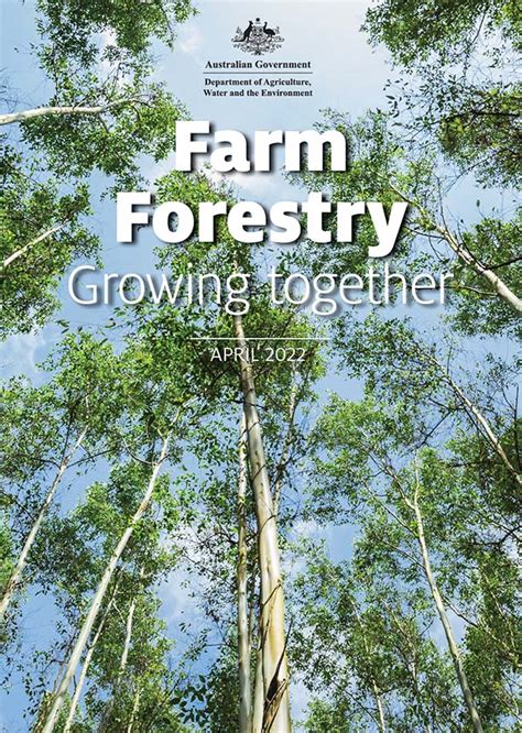 Branching Out Into Farm Forestry Duniam I Australian Rural And Regional News