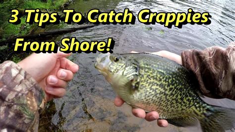 3 Crappie Fishing Tips Guaranteed To Catch Crappies From Shore Youtube