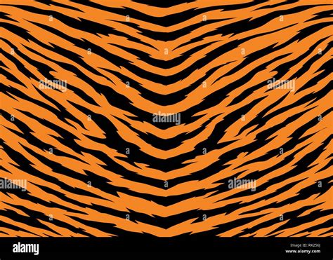 Tiger Stripes Pattern Design Vector Illustration Background Wildlife