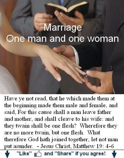 God Has Told Us The Number And The Gender It Is In The Bible Words