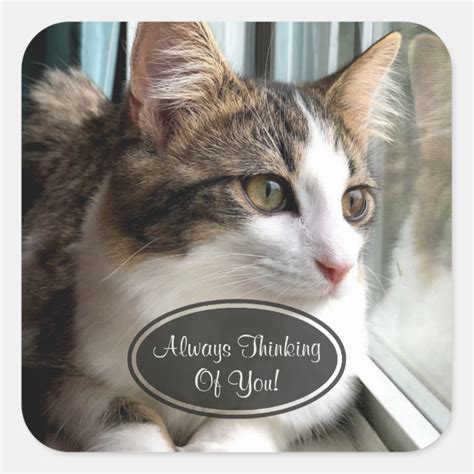 Cat Thinking Of You Stickers