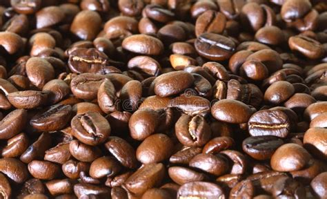 Coffee Grains Stock Image Image Of Roast Java Grains 1303091