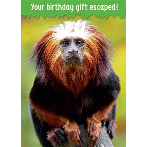Youre Birthday T Escaped Monkey Funny Humorous Birthday Card