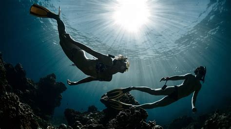 Scuba Diving Snorkeling Skin Diving Freediving What’s The Difference Diventures Magazine