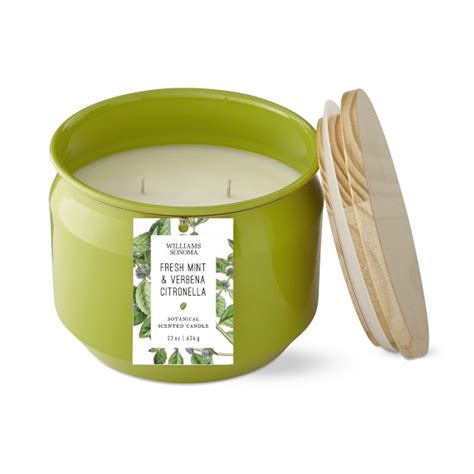 Fresh Mint And Verbena Citronella Candle Tin Fragrance Candles