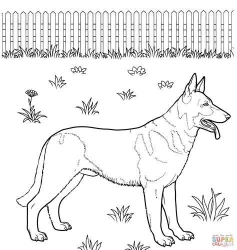 Signup to get the inside scoop from our monthly newsletters. German shepherd coloring pages to download and print for free