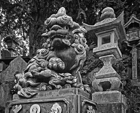 See more ideas about guardian lion, foo dog, lions. Guardian Lion Japan Photograph by Karma Ganzler