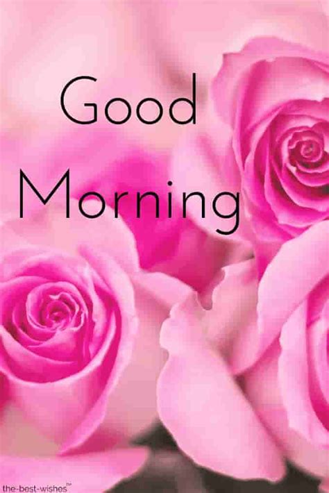 Top 134 Good Morning Wishes With Rose Best Hd Images