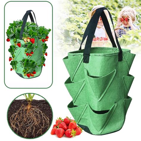 Garden Strawberry Grow Bag 3 Gallon Pe Water Resis Grandado