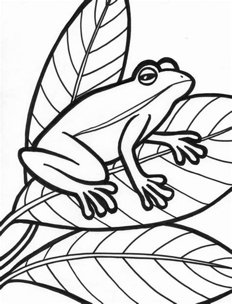 Frog Coloring Pages For Preschoolers New Coloring Arts Extraordinary