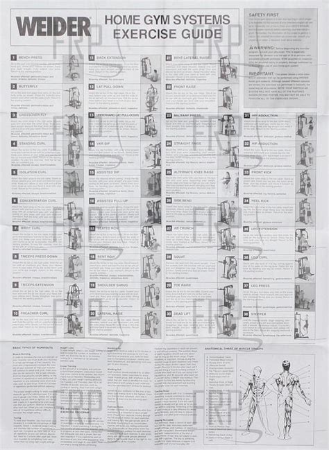 Printable Weider Exercise Chart Pdf Customize And Print
