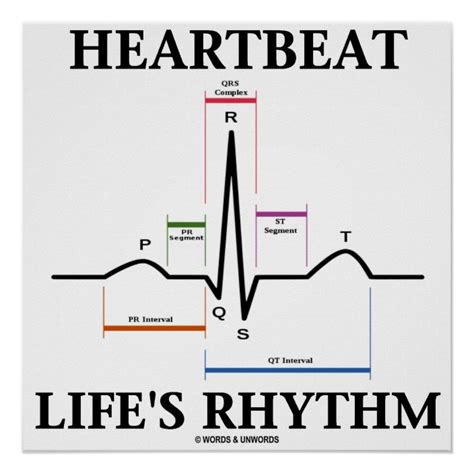Heartbeat Lifes Rhythm Ecgekg Hartslag Poster Zazzlebe
