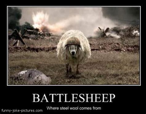 Battlesheep Steel Wool Comes From ~ Silly Bunt Funny