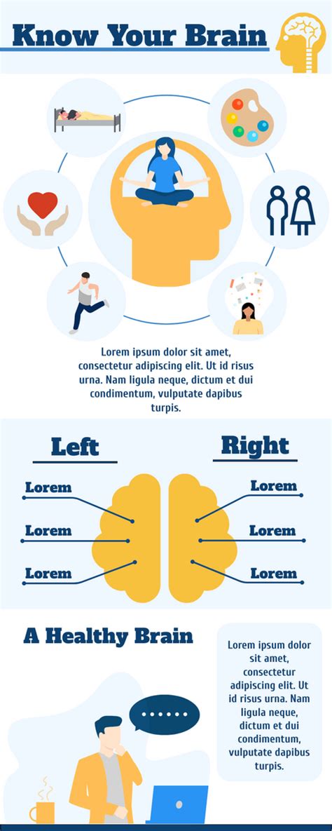 Introduction Of Brain Infographic Infographic Template