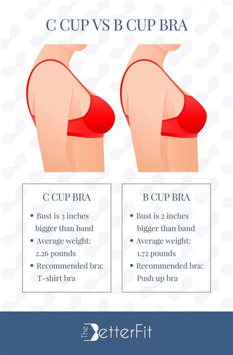 C Cup Vs B Cup Bra Sizes In Review Thebetterfit