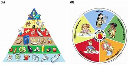Foods Nutrition Children Pyramid Guidelines Swiss Fermented