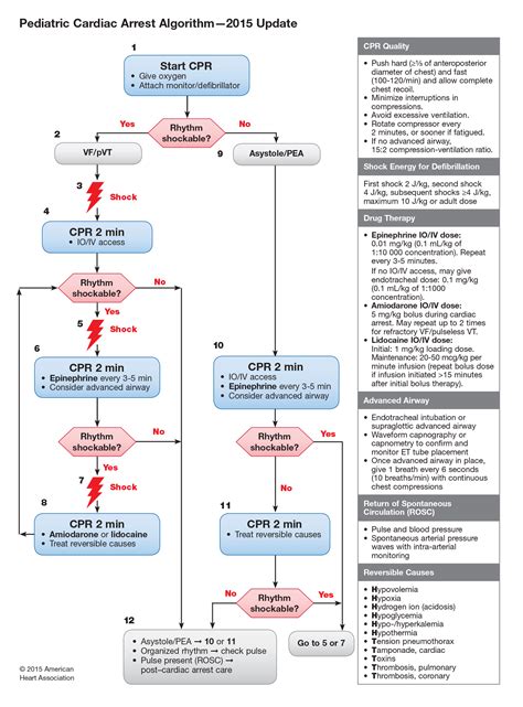 Part 12 Pediatric Advanced Life Support Ecc Guidelines 2015