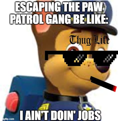 Paw Patrol Memes And S Imgflip
