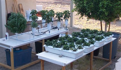 Free Build Your Own Hydroponic System Plans