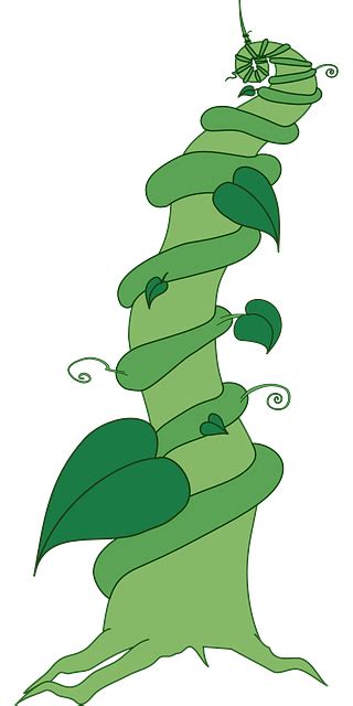 Download Beanstalk Plant Vegetable Royalty Free Vector Graphic Pixabay