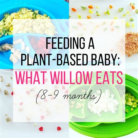 Babies this age stay awake between 2 and 3 below are the amounts we recommend. Feeding a Plant-Based Baby: What Willow Eats | Baby food 8 ...