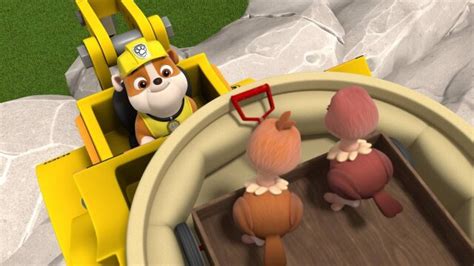 Watch PAW Patrol Pups Save Alex S Feathery Friends Pups Save A Puffy Mayor S E TV Shows
