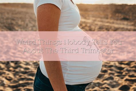 Weird Things Nobody Tells You About The Third Trimester - Lamb & Bear