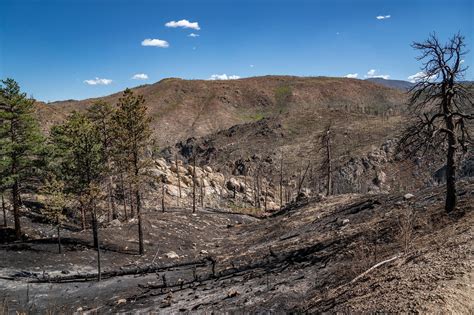 Coalition For The Poudre River Watershed Cameron Peak Fire