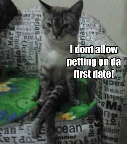 Keep Your Hands To Yourself Lolcats Lol Cat Memes Funny Cats