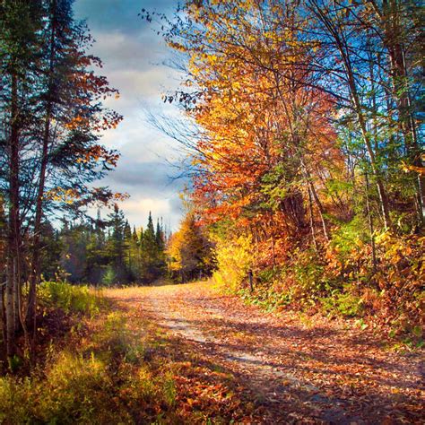 🇨🇦 Autumn In The Countryside Quebec By Yvon Lacaille Automne à La