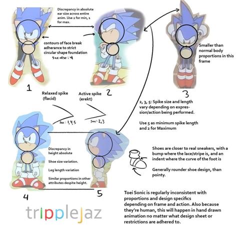 Pin By Maizie Seput On Sonic Model Sheets How To Draw Sonic Hedgehog