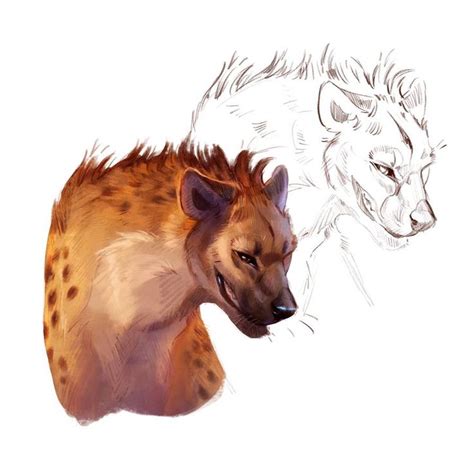 Hyena Study By Corvushound On Deviantart Hyena Animal Drawings