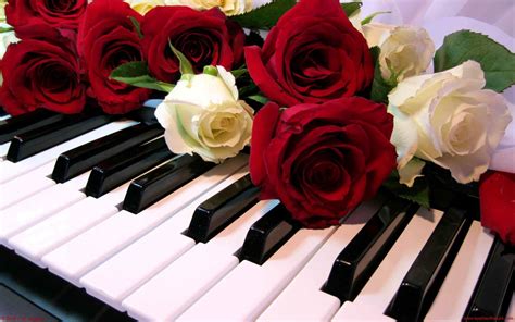 Piano Wallpapers 70 Images
