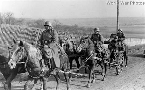 Kavallerie Waffen Ss World War Photos