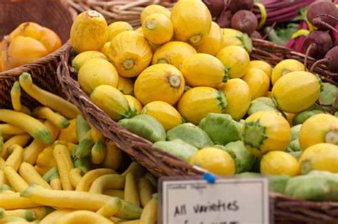 Make dinner tonight, get skills for a lifetime. Stewed Tomato, Zucchini and Pattypan Squash - 31 Daily