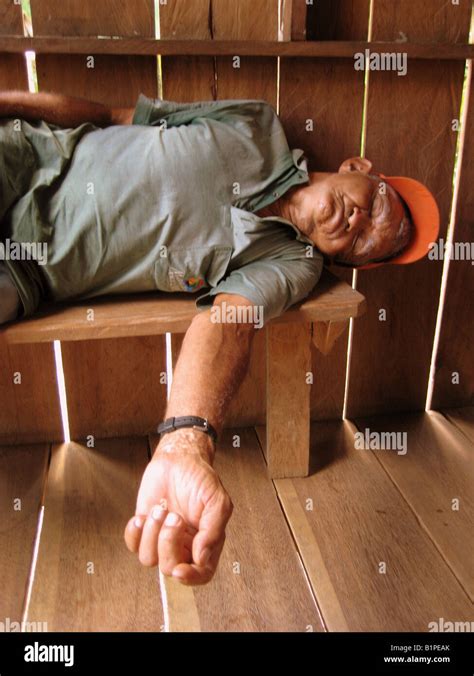 Old Brazilian Man Sleeping On Bench In House Stock Photo Alamy