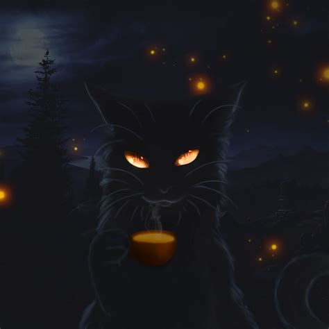 Black Cat Anime Best Cat Wallpaper