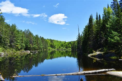 Local Travel Guide Algonquin Provincial Park Soomin Says