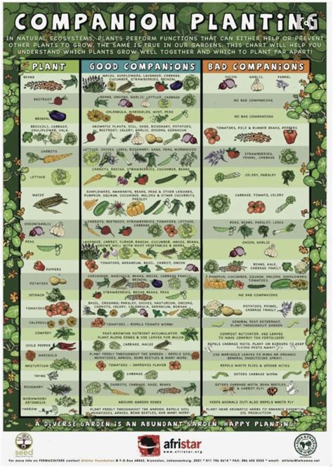 A Companion Planting System For A Beautiful Chemical Free Vegetable