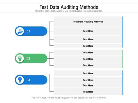 Test Data Auditing Methods Ppt Powerpoint Presentation File