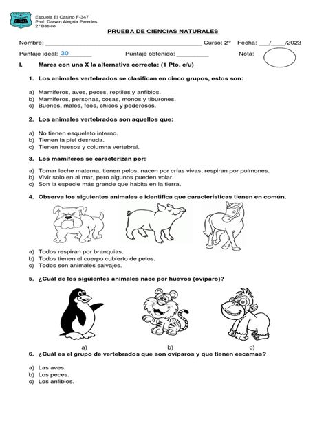 Prueba De Ciencias Naturales Vertebrados Segundo Básico Pdf