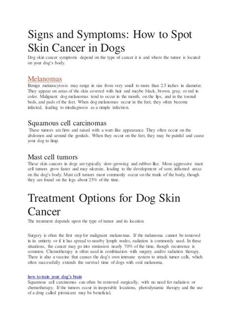 Dog Skin Cancer Types Signs And Treatments